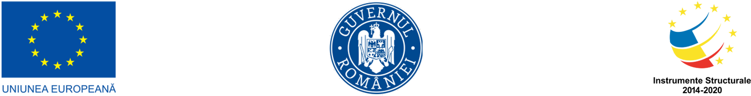 antet site identitate vizuala 1